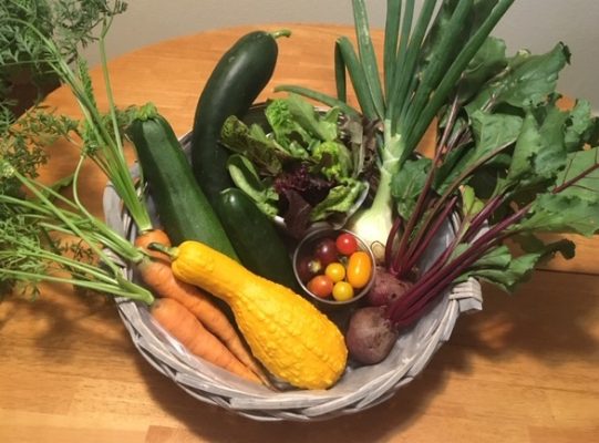 A basket of zucchini, squash, carrots, beets, onions, greens and cherry tomatoes